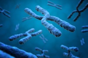 What Are Telomeres and Why Are They Important: Unlocking the Secrets to Mindful Aging