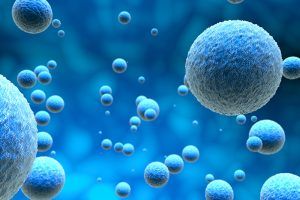 Senolytic: The Senolytic Sweepstakes. Clearing Cellular Crud for a Longer, Louder Life